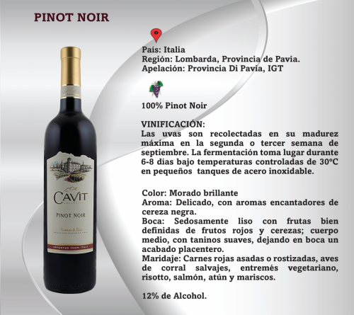 Pinot Noir